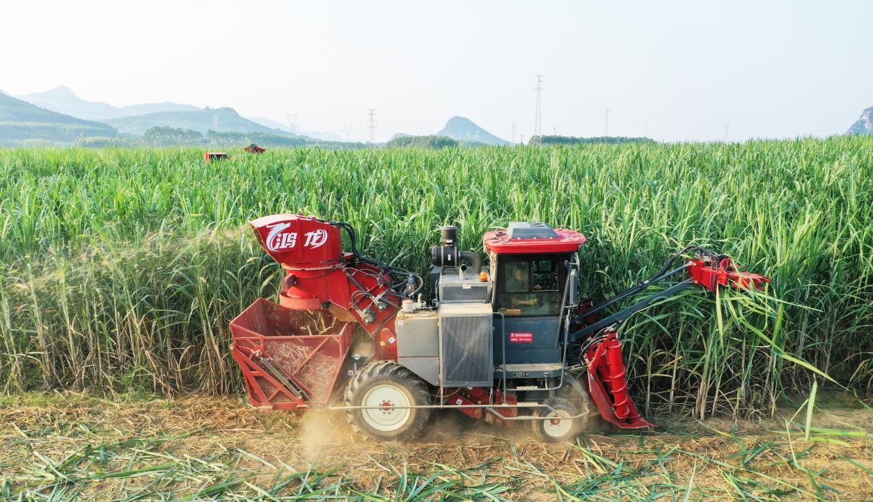 နည်းပညာသည် 'ချိုမြိန်သောစက်မှုလုပ်ငန်း' ကို အားကောင်းစေသည်- တရုတ်စမတ်ကျကုန်ထုတ်လုပ်မှုသည် ထိုင်းနိုင်ငံ၏ ကြံရိတ်သိမ်းမှုတွင် တော်လှန်ရေးအသစ်ကို ဦး ဆောင်စေသည် — FMWORLD သည် ထိုင်းဈေးကွက်တွင် နှစ်စဉ် စံချိန်တင် မြင့်မားစွာ တင်ပို့ရောင်းချနိုင်သည် ။