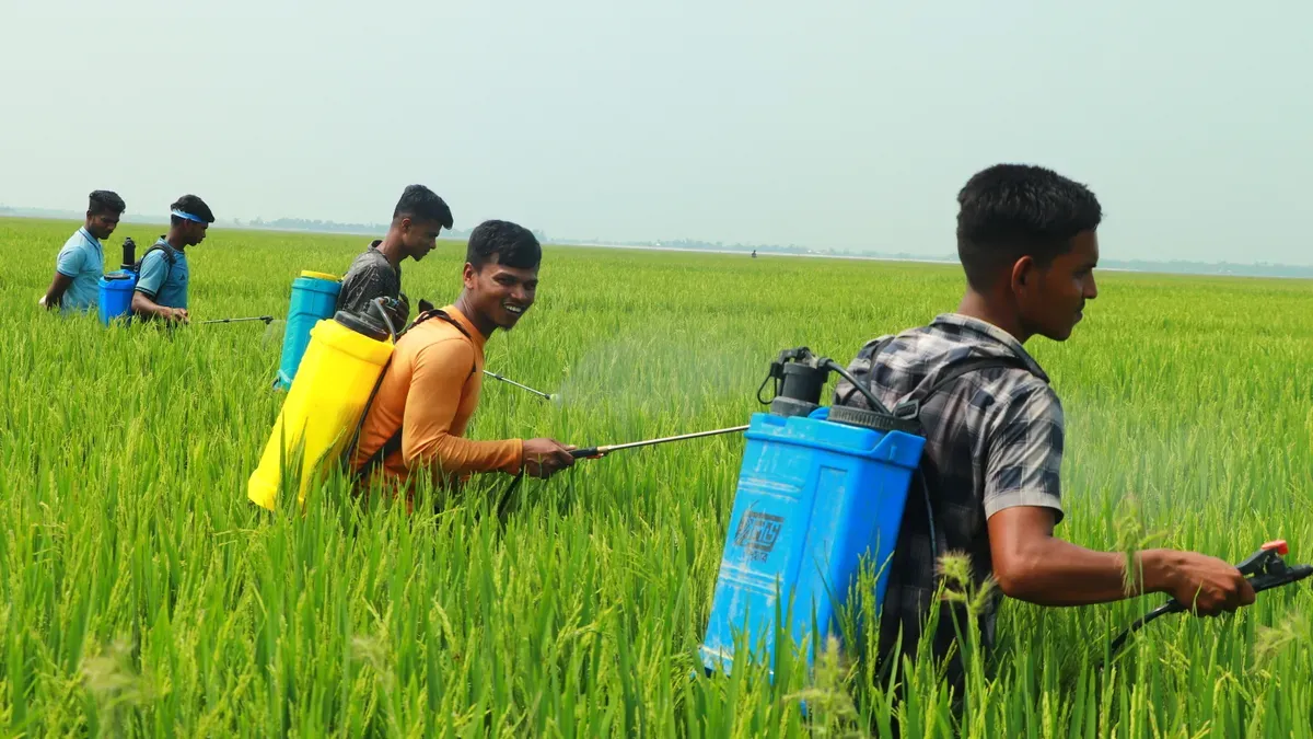စိုက်ပျိုးရေးမှုတ်ဆေးအမျိုးအစားများ